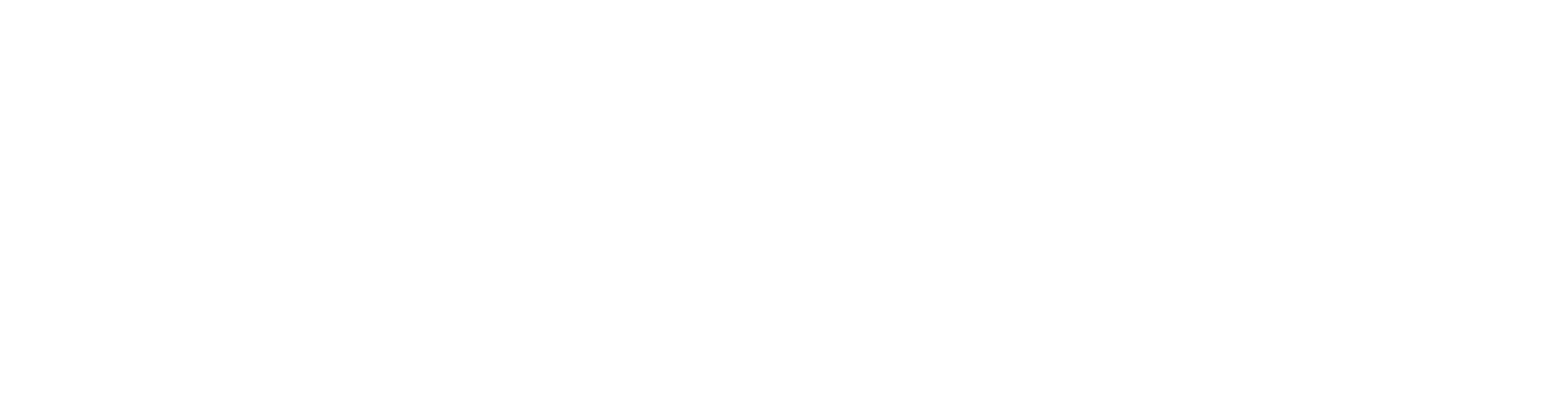 Logo Santa Lucía